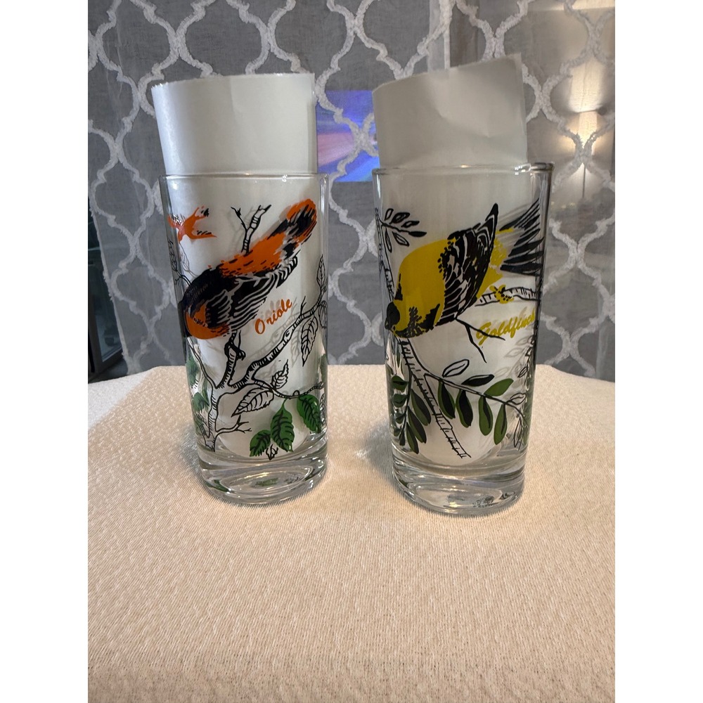 Vintage Bird Drinking Glasses Set of 2 Goldfinch and Oriole Highball Tumblers